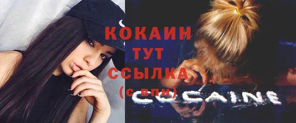 a pvp Алзамай