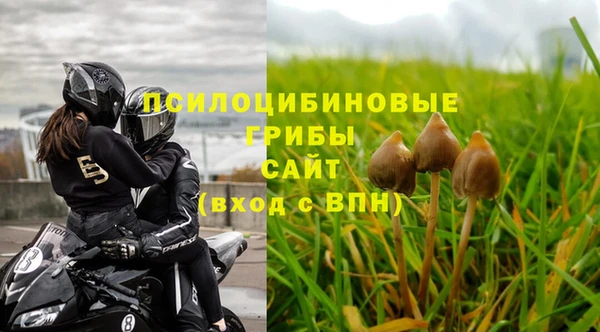 эйфоретик Алексеевка