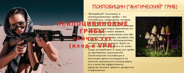 ешки Сафоново