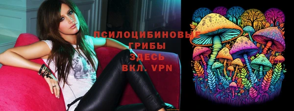 эйфоретик Алексеевка