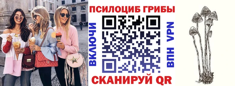 продажа наркотиков  Тара  Галлюциногенные грибы Cubensis 